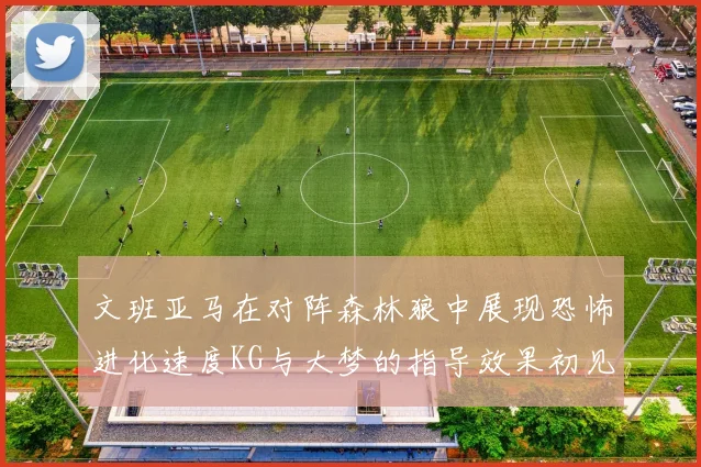 文班亚马在对阵森林狼中展现恐怖进化速度KG与大梦的指导效果初见成效